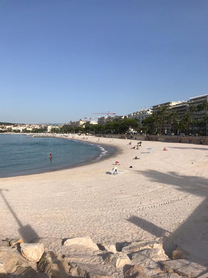 Tres Beau T2 Dans Parc Montfleury ,Proche Centre ,Au Calme 44 Bd Montfleury Apartment Cannes Exterior foto