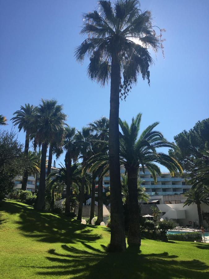 Tres Beau T2 Dans Parc Montfleury ,Proche Centre ,Au Calme 44 Bd Montfleury Apartment Cannes Exterior foto