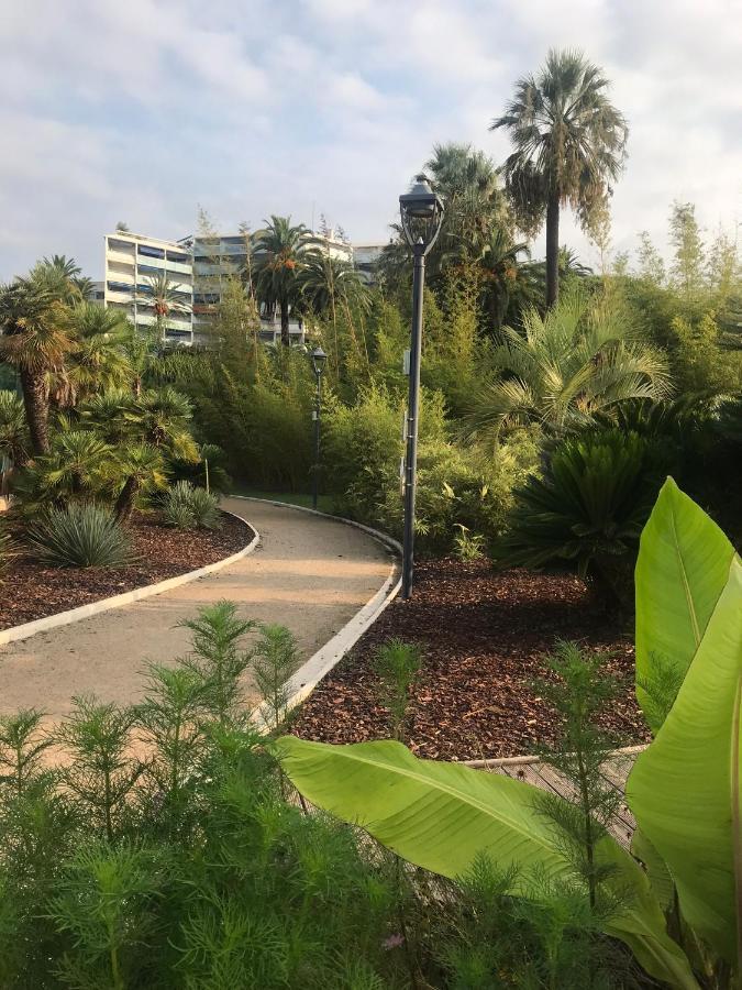 Tres Beau T2 Dans Parc Montfleury ,Proche Centre ,Au Calme 44 Bd Montfleury Apartment Cannes Exterior foto